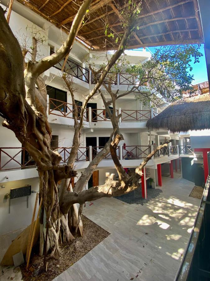 Why Not Rooftop Party Hostel Playa del Carmen Exterior foto