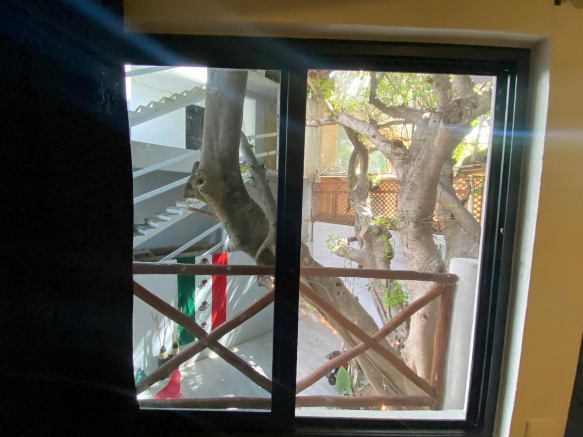 Why Not Rooftop Party Hostel Playa del Carmen Exterior foto